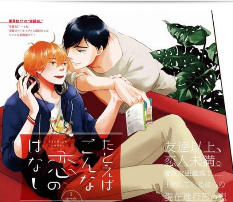 有真实原型的BL漫画 女装大佬大岛薰强推