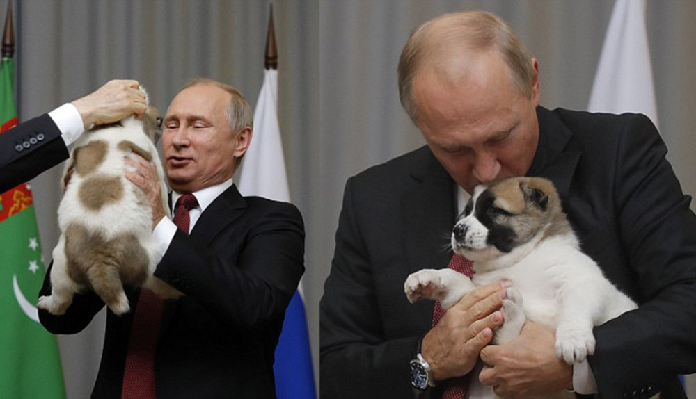 普京再多一只爱犬 首脑会议上展现柔情一面又亲又抱（组图） - 3