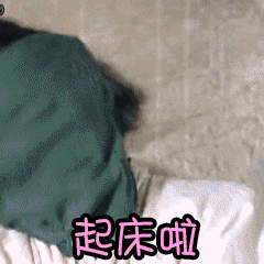 壁纸 动物 狗 狗狗 240_240 gif 动态图 动图