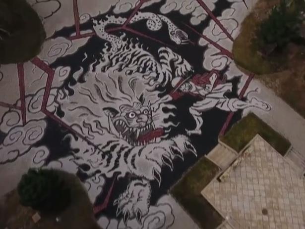 路飞闪亮登场 《航海王》与大觉寺联动航拍视频公开