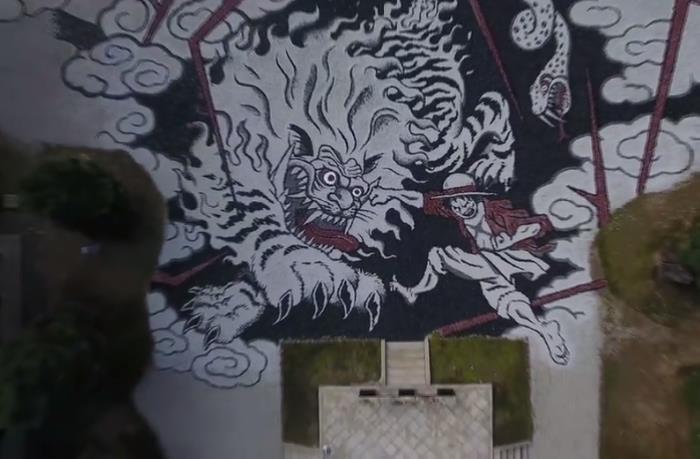 路飞闪亮登场 《航海王》与大觉寺联动航拍视频公开