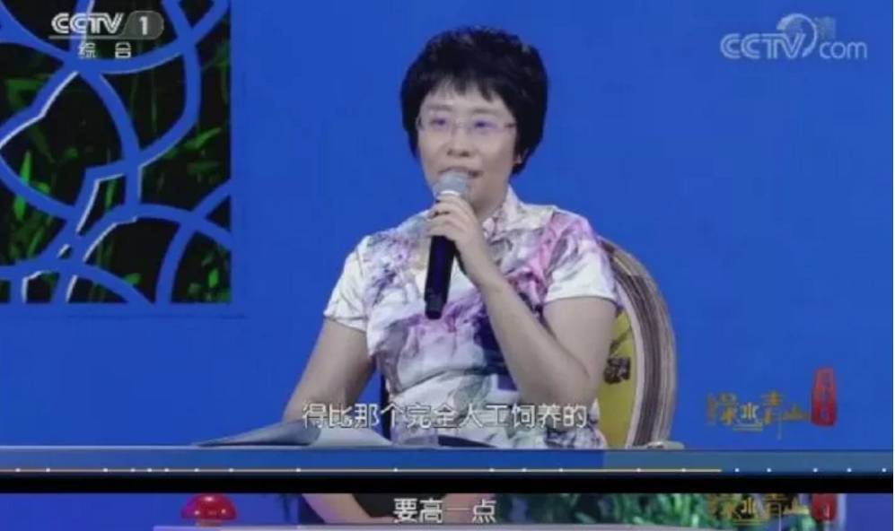 撒贝宁携西安这个地方亮相央视一套 你能猜出这是哪儿吗？