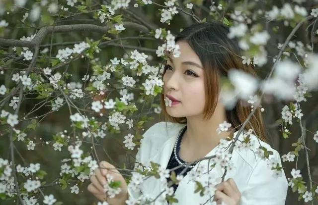 又是赏花节,樱花美女如此美好