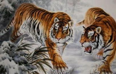 2018年中奖概率猛增,鸿运当头的三个生肖