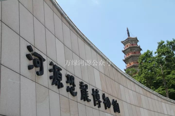 打造粤港澳大湾区休闲旅游业重要承载区——以全域发展推动河源旅游迈上新台阶