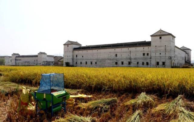 打造粤港澳大湾区休闲旅游业重要承载区——以全域发展推动河源旅游迈上新台阶