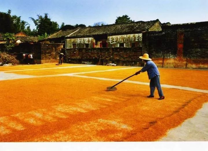 打造粤港澳大湾区休闲旅游业重要承载区——以全域发展推动河源旅游迈上新台阶