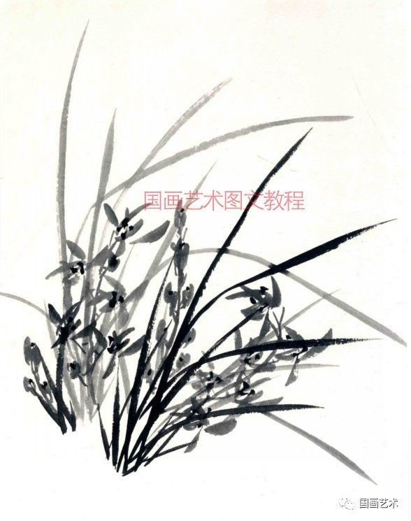 图文教程:各种写意兰花的画法