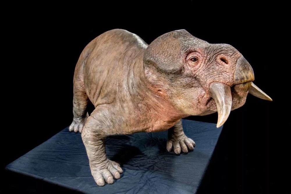 比恐龙更恐怖的五大霸主,恐龙见它都要绕道,第二几乎统治海洋!