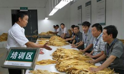 烟草局的待遇到底有多好?看了他们的工资条你