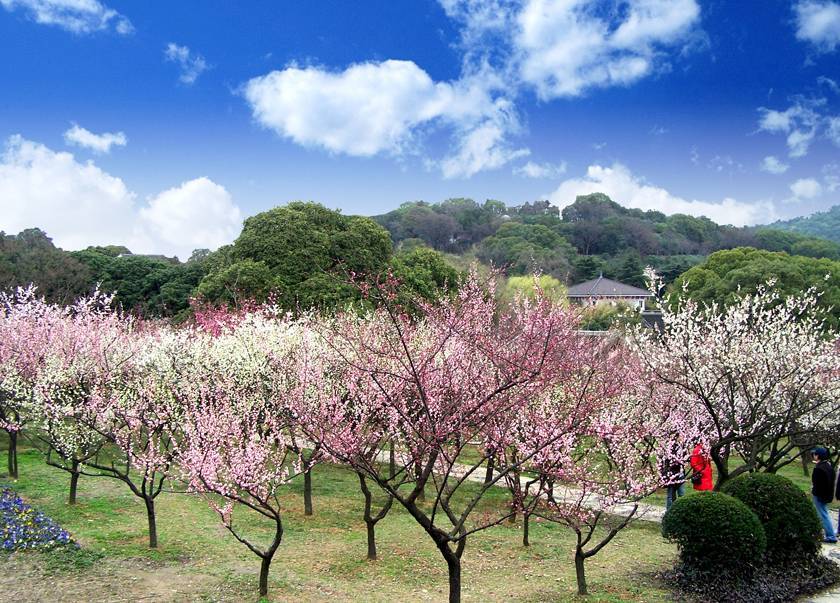 在南京房价最低的区,活成了一线城市的样子!