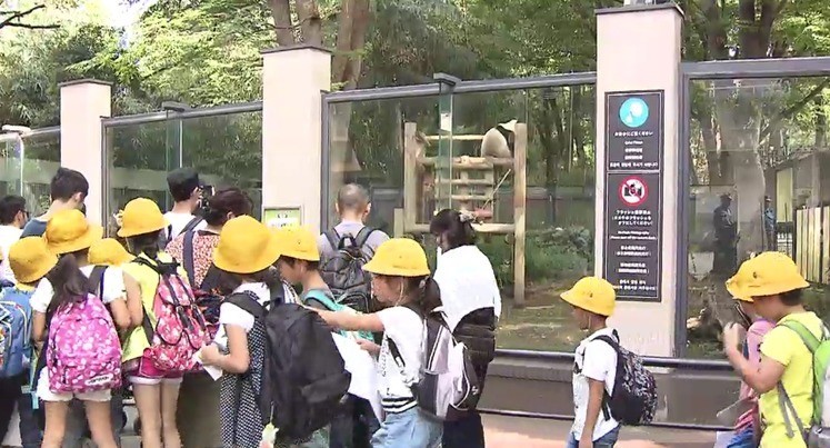 为保证熊猫宝宝安全，日本动物园决定园内全面禁烟 - 2