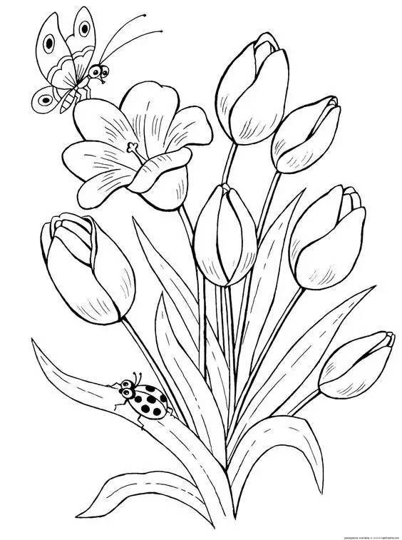 简单明了的花卉线描画,看一眼你就能学好!