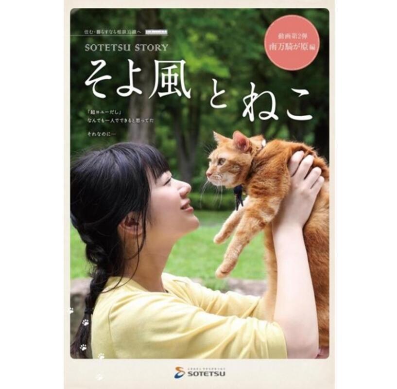 小樱的声线！丹下樱为猫配音的SP视频公开