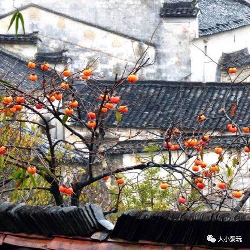 之旅美食、古村落、自然、人少…这座正值最美山水a之旅宇美食之阿图片