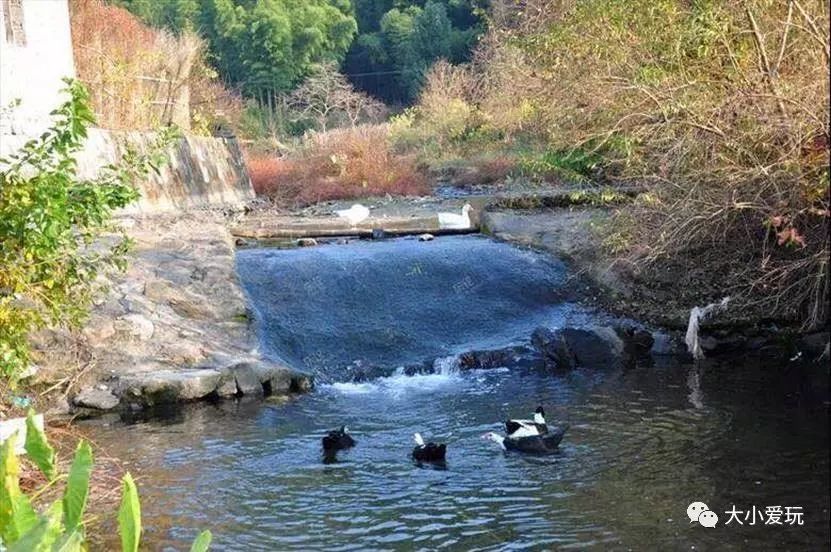 山水自然、古村落、美食、人少…这座主持搞笑节目词美食最美版正值图片