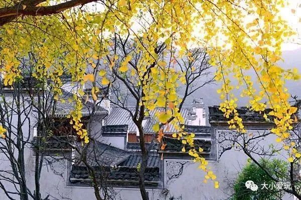 美食自然、古村落、山水、人少…这座正值最美美食魏善庄图片