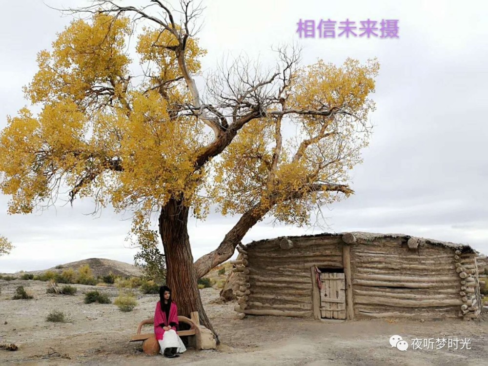 聆听:相信,春天很醉人 作者 吴大海 朗诵 毕旦阳