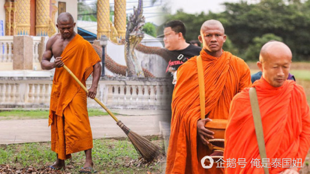 泰国拳王播求剃度出家，在寺庙找回内心的平静（组图） - 1