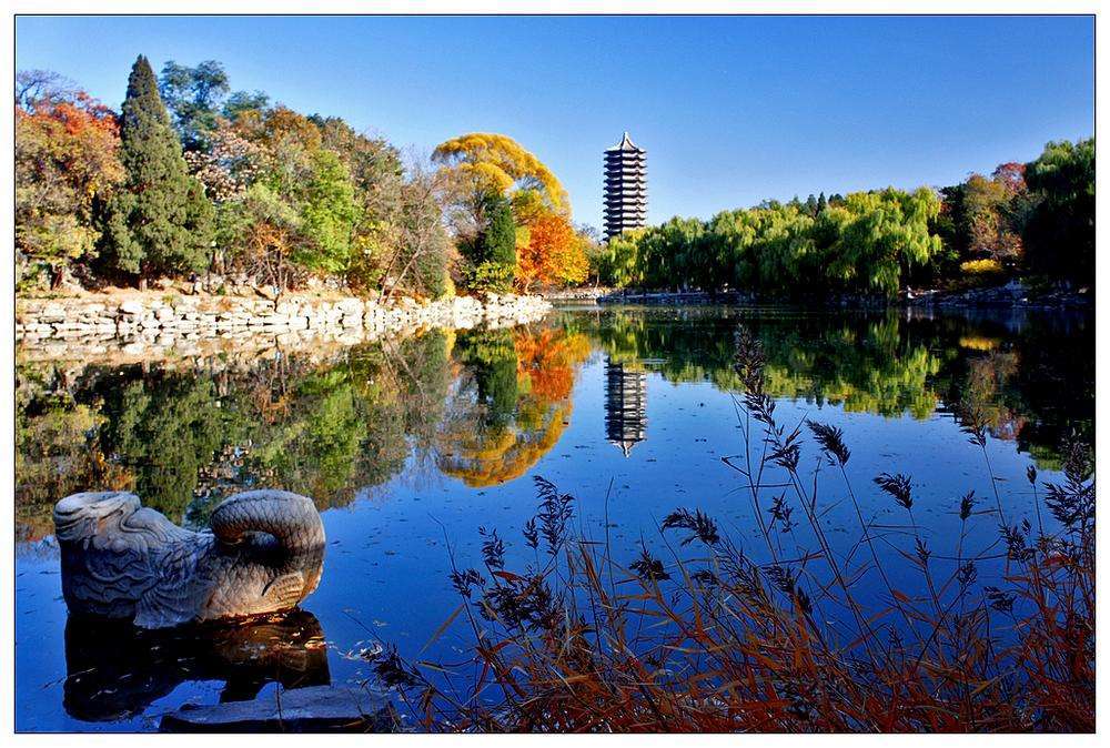 北京拥有全国数量最多的重点大学,是优秀高考生最向往