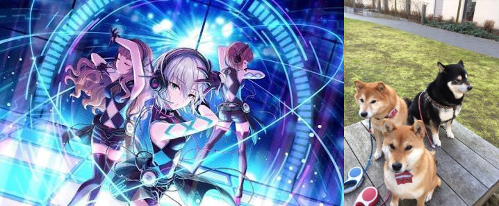 Թʲôżʦ廭ͼƵĲȮ