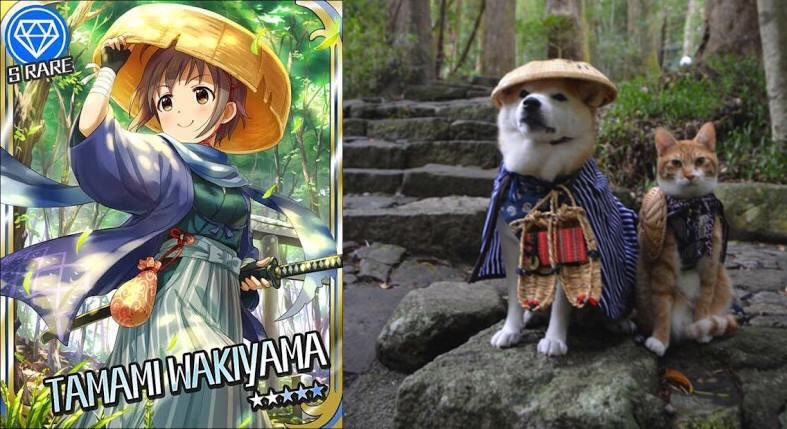 Թʲôżʦ廭ͼƵĲȮ