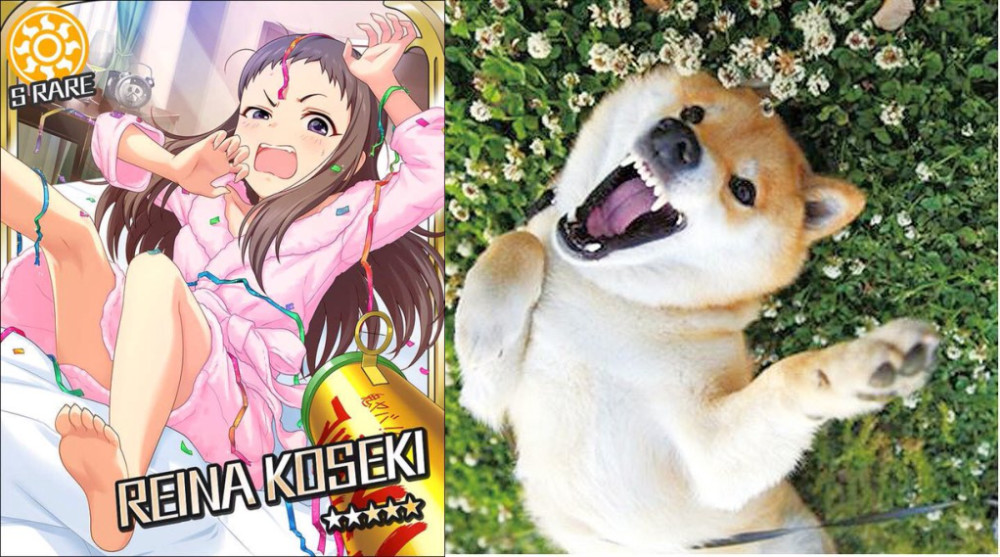 Թʲôżʦ廭ͼƵĲȮ