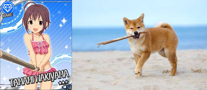 Թʲôżʦ廭ͼƵĲȮ