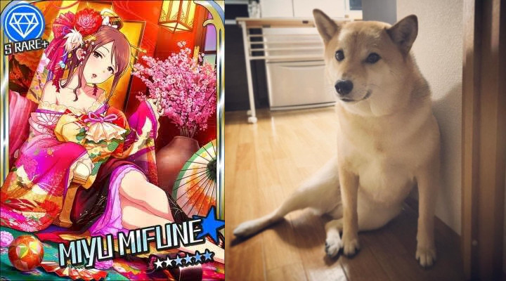 Թʲôżʦ廭ͼƵĲȮ