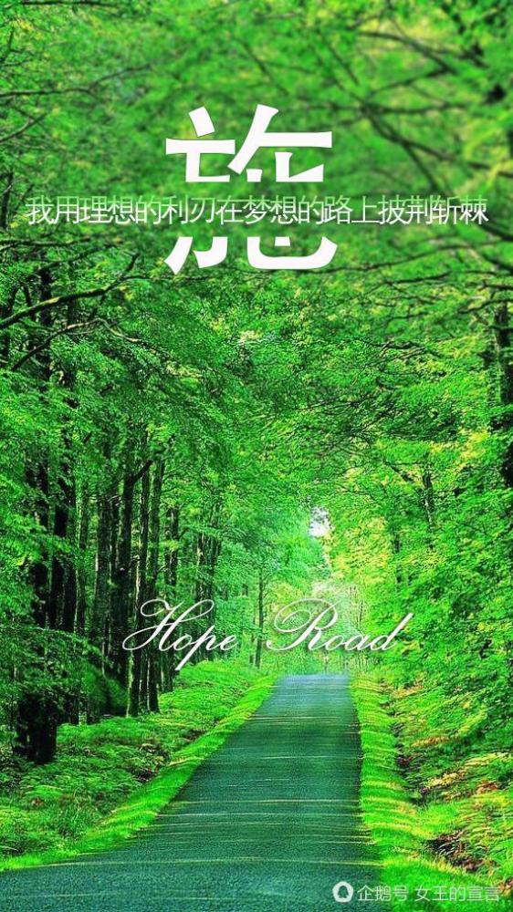 姓名手机壁纸,绿色护眼锁屏屏保:在梦想的路上披荆斩棘