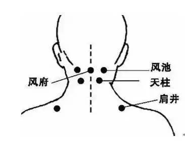 风池,人迎穴:接着再刮拭脖颈两侧凹陷处(胆经上)的风池穴,点按胃经上