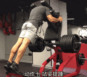展枭飞以多年的训练经验为我们分享背部刺激技巧国家一级健美裁判员