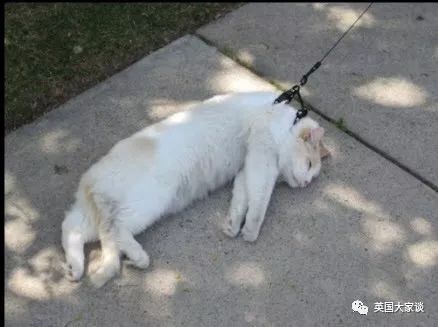 母亲用绳拽孩子地上拖着走，引发一场腥风血雨的撕x大战，她一句话让原本震怒的网友态度大反转 - 2