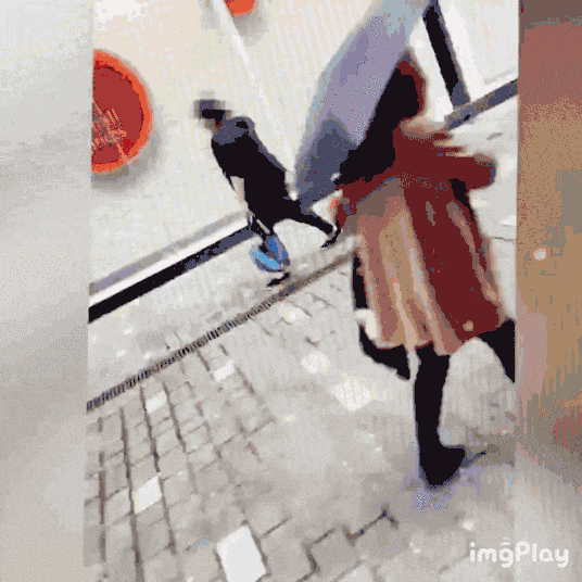母亲用绳拽孩子地上拖着走，引发一场腥风血雨的撕x大战，她一句话让原本震怒的网友态度大反转 - 4