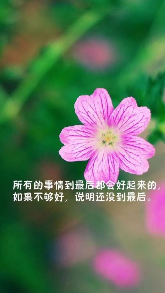 2018朋友圈早安励志精辟语录