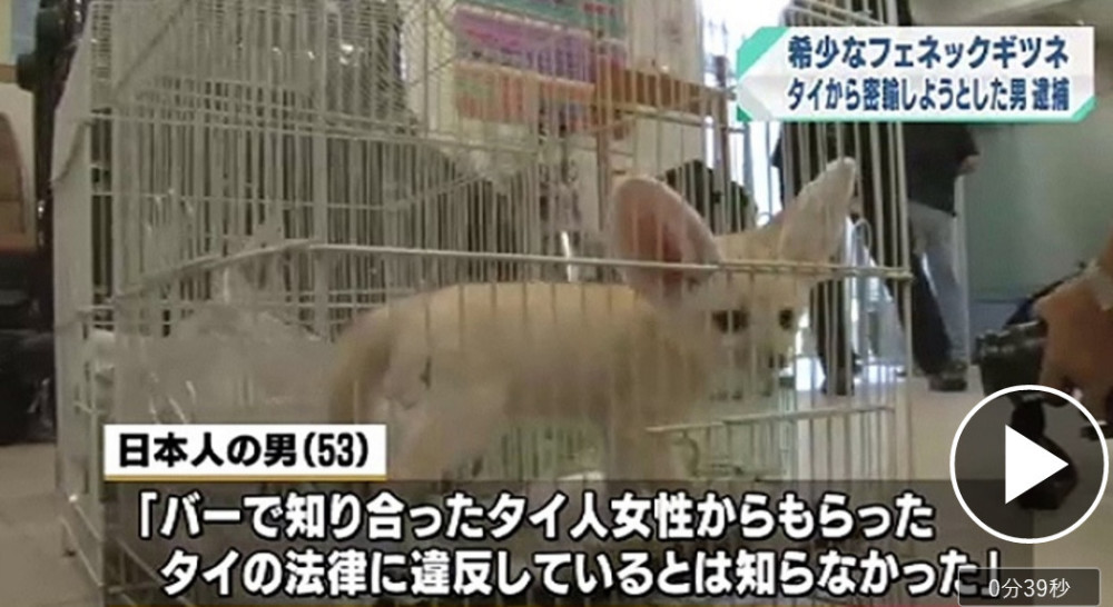 企鹅娘吐槽：你愿意把喜欢的动漫人物纹到身上吗？