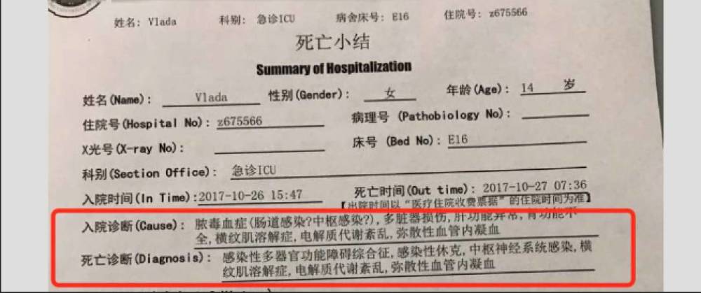 Vlada的死亡诊断截图