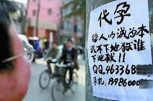 美国人最爱印度人的子宫？美国人跑去印度代孕求子（组图） - 18
