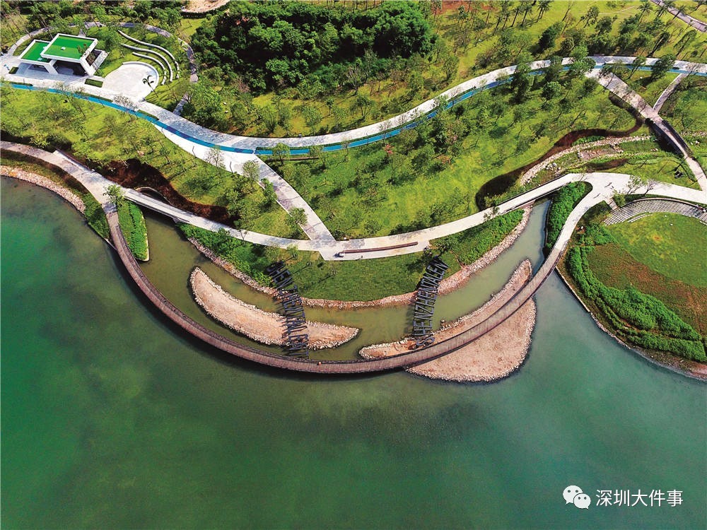 高颜值!美女主播带你逛深圳人才公园