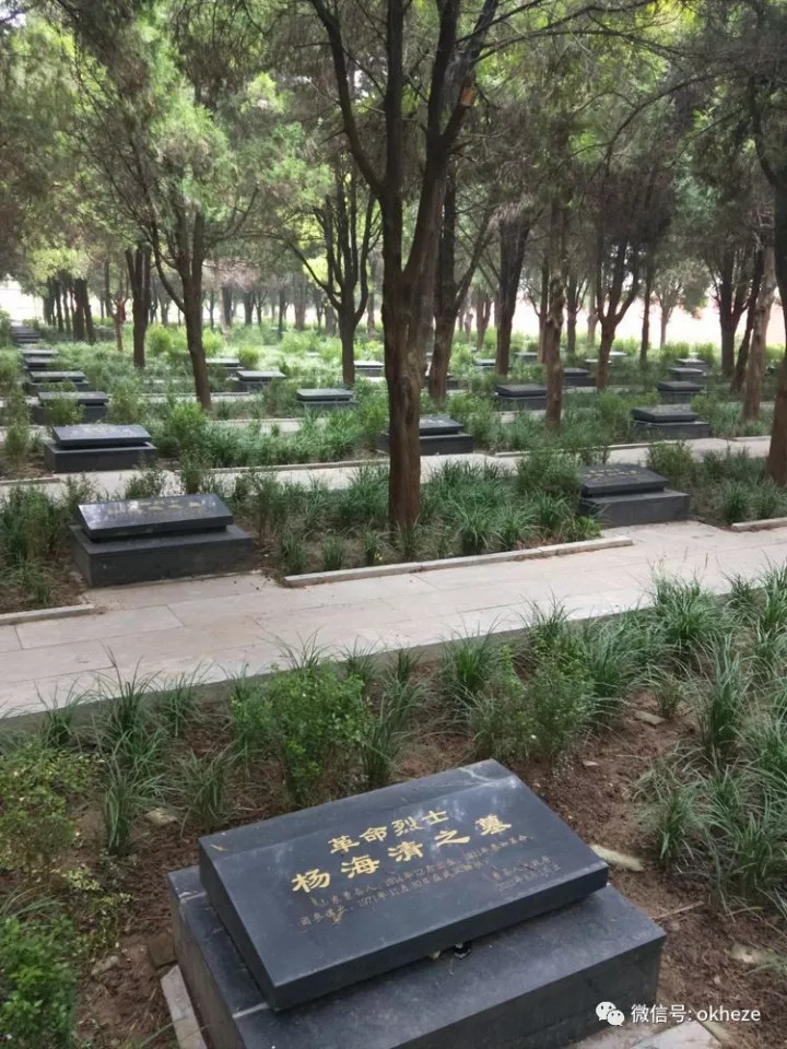 菏泽:探访国家级抗战纪念设施遗址,鲁西南烈士陵园!