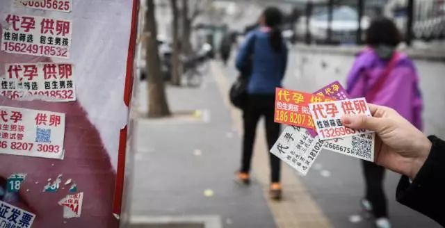 美国人最爱印度人的子宫？美国人跑去印度代孕求子（组图） - 17