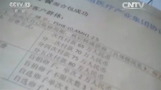 美国人最爱印度人的子宫？美国人跑去印度代孕求子（组图） - 19