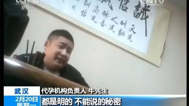 美国人最爱印度人的子宫？美国人跑去印度代孕求子（组图） - 24