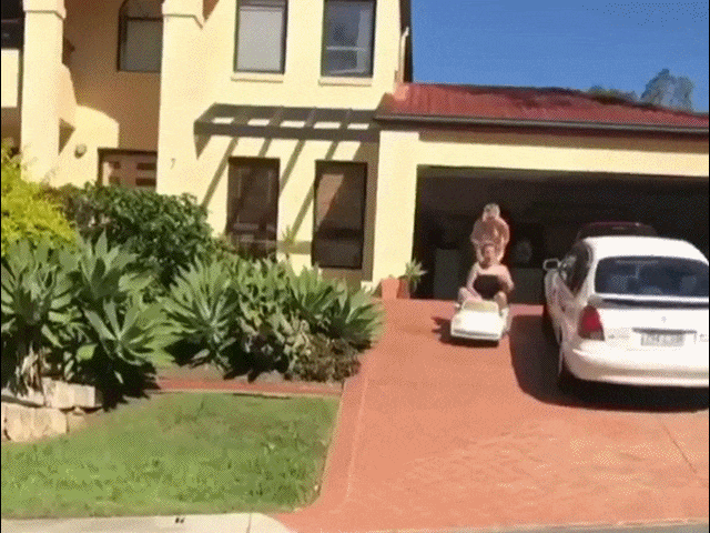 搞笑gif:这狗粮撒的,都看吃醋了