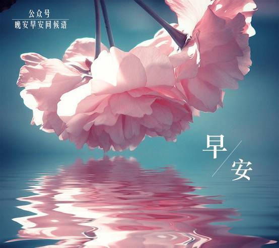 早安问候语大全 早安图片小清新