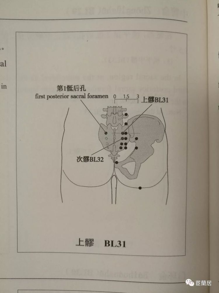 犹抱琵琶半遮面之八髎穴