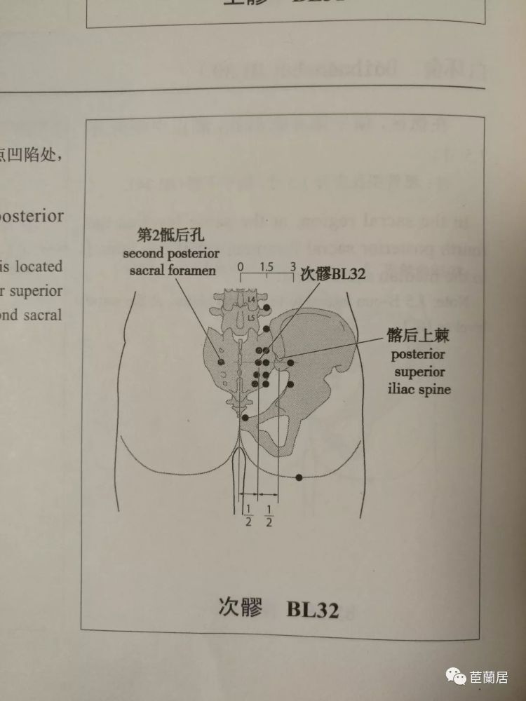 犹抱琵琶半遮面之八髎穴