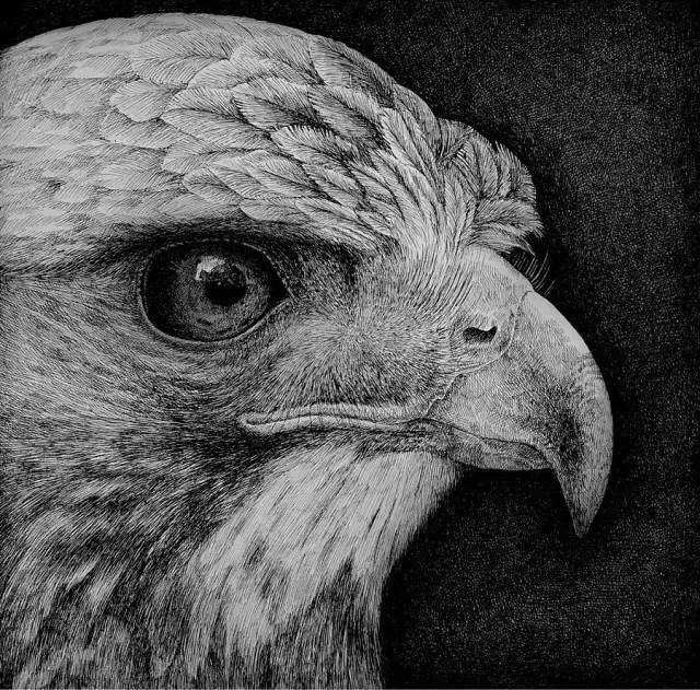充满玄幻色彩的超精细钢笔画,只想问画家眼睛还好吗?