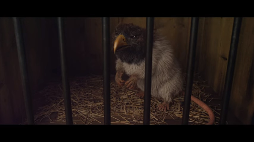 ĴPLAY˰桶IMAXԤ湫