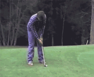 搞笑gif:扎心了 我可能遇到了一头假猪